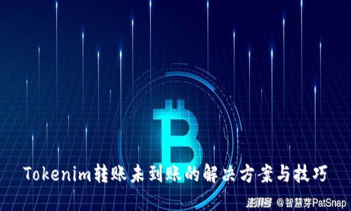 Tokenim转账未到账的解决方案与技巧