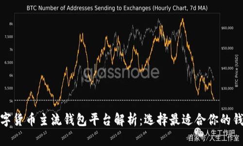 数字货币主流钱包平台解析：选择最适合你的钱包