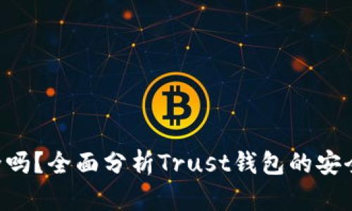 Trust钱包安全吗？全面分析Trust钱包的安全性与使用技巧