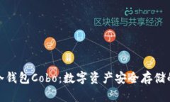 全面解析冷钱包Cobo：数字资产安全存储的最佳选