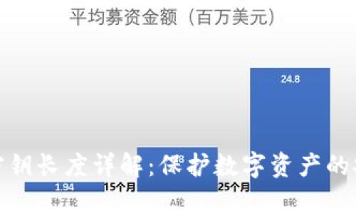 冷钱包密钥长度详解：保护数字资产的安全基础