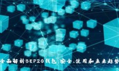 全面解析BEP20钱包：安全、