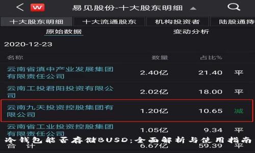 冷钱包能否存储BUSD：全面解析与使用指南