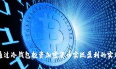 如何通过冷钱包投资加密货币实现盈利的实用方