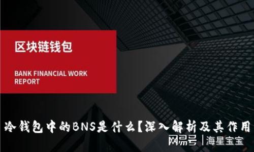 冷钱包中的BNS是什么？深入解析及其作用