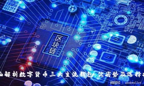 全面解析数字货币三大主流钱包：优劣势及选择指南