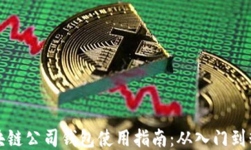 
区块链公司钱包使用指南：从入门到精通