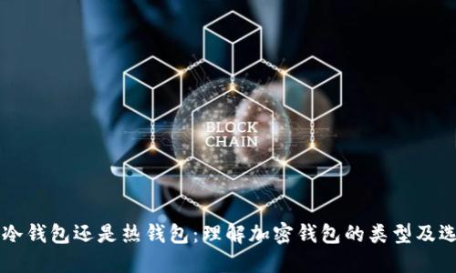 TRX 是冷钱包还是热钱包：理解加密钱包的类型及选择建议