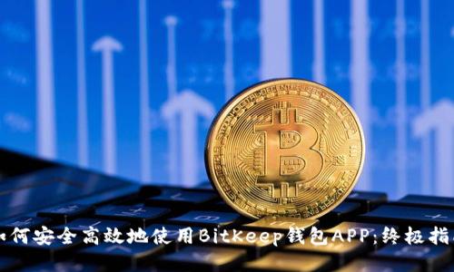 如何安全高效地使用BitKeep钱包APP：终极指南