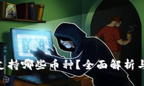 Tokenim支持哪些币种？全面解析与用户指南