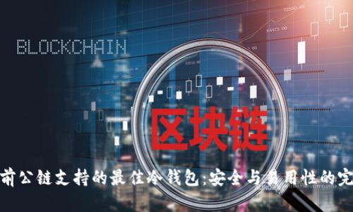 探索当前公链支持的最佳冷钱包：安全与易用性的完美结合