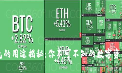 虚拟币钱包的用途揭秘：你不可不知的数字资产保护工具