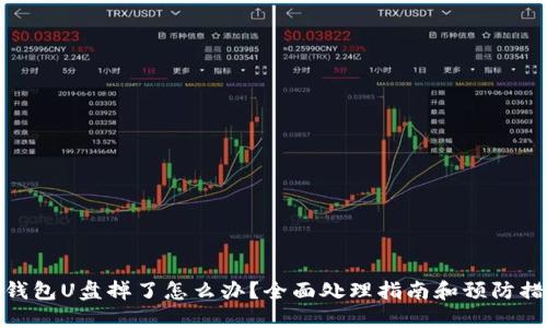 冷钱包U盘掉了怎么办？全面处理指南和预防措施