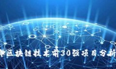 2023年区块链技术前30强项