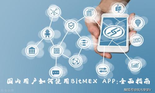 国内用户如何使用BitMEX APP：全面指南