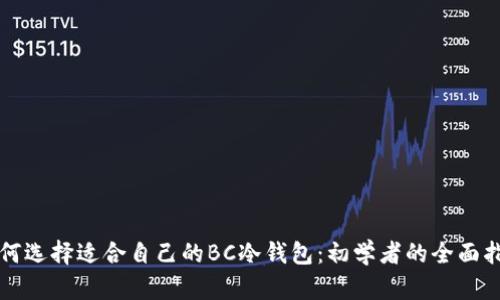 如何选择适合自己的BC冷钱包：初学者的全面指南