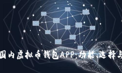 全面解析国内虚拟币钱包APP：功能、选择与安全指南