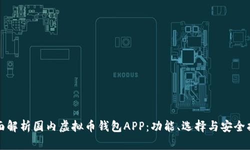 全面解析国内虚拟币钱包APP：功能、选择与安全指南