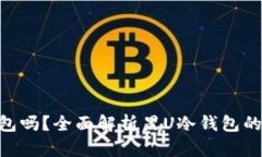 黑U可以进冷钱包吗？全面解析黑U冷钱包的使用与