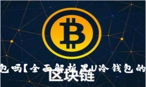 黑U可以进冷钱包吗？全面解析黑U冷钱包的使用与存储方法