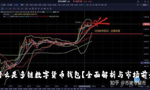 什么是多链数字货币钱包？全面解析与市场前景