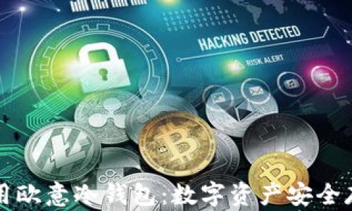 
如何创建和使用欧意冷钱包：数字资产安全存储的最佳实践