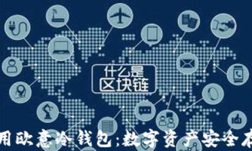 
如何创建和使用欧意冷钱包：数字资产安全存储的最佳实践