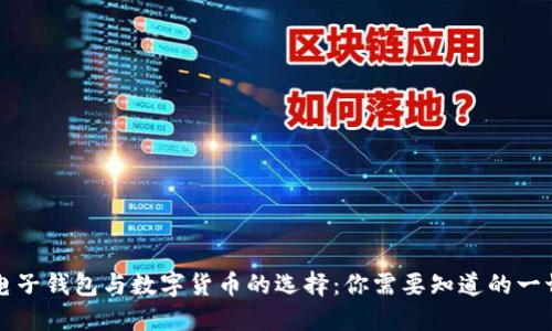电子钱包与数字货币的选择：你需要知道的一切