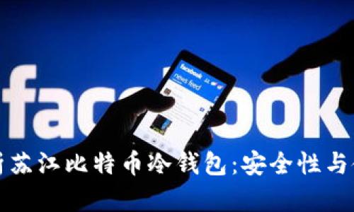 全面解析苏江比特币冷钱包：安全性与使用指南