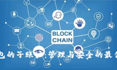虚拟币钱包的子账户：管理与安全的最佳实践指南