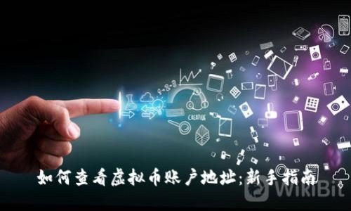 如何查看虚拟币账户地址：新手指南