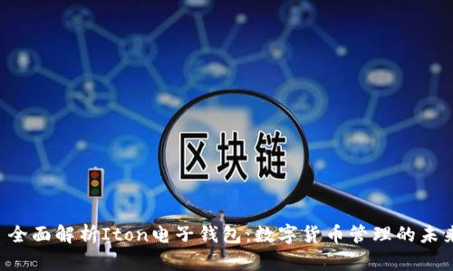文章 全面解析Iton电子钱包：数字货币管理的未来利器