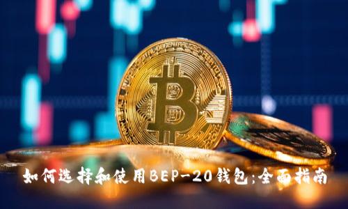 如何选择和使用BEP-20钱包：全面指南