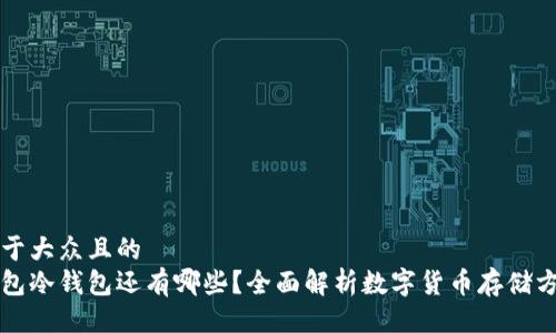 易于大众且的  
钱包冷钱包还有哪些？全面解析数字货币存储方式