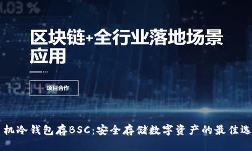 手机冷钱包存BSC：安全存储数字资产的最佳选择