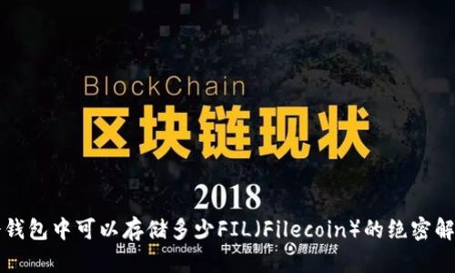 冷钱包中可以存储多少FIL（Filecoin）的绝密解析