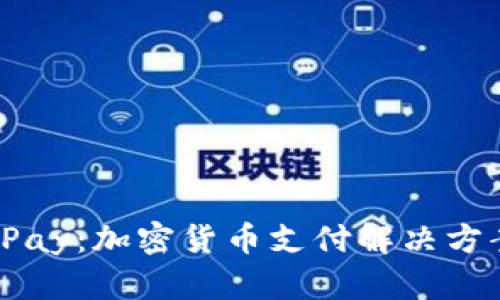 了解BitPay：加密货币支付解决方案的先锋