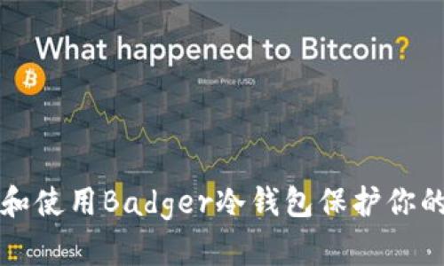 如何选择和使用Badger冷钱包保护你的加密资产
