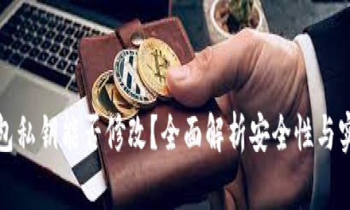 冷钱包私钥能否修改？全面解析安全性与实用性