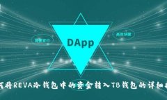 如何将REVA冷钱包中的资金转入TB钱包的详细指南