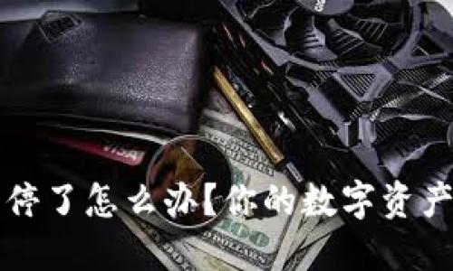 冷钱包关停了怎么办？你的数字资产安全指导